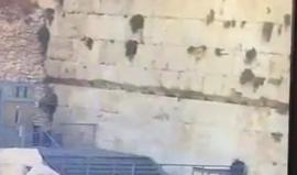 #شاهد لحظة سقوط أحد حجارة "حائط البراق" في المسجد الأقصى صباح اليوم