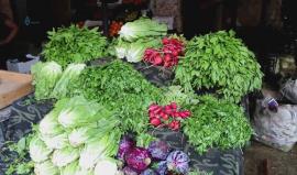 #شاهد أجواء شهر رمضان بريف حلب الغربي