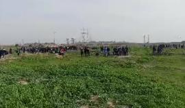 #مباشر تجدد المواجهات بين الشبان وقوات الاحتلال على السياج الفاصل شرق مدينة غزة رفضا للقرار الأمريكي بحق القدس 
تصوير عبد الرحمن الكحلوت