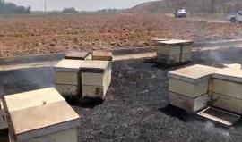 #شاهد الحرائق المشتعلة في كيبوتس "أور هنير" بفعل البالونات الحارقة التي أطلقها الشبان من قطاع غزة