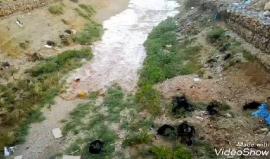 #شاهد جريان مياه الأمطار في وادي القلط بأريحا صباح اليوم 

تصوير محمد جواد