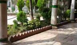 #مباشر .. جولة صباحية في أسواق مدينة عكا الفلسطينية وأجواء ثاني أيام عيد الأضحى المبارك .