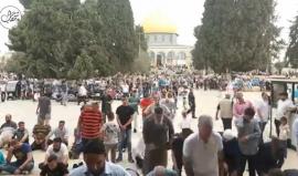 #مباشر خطبة وصلاة الجمعة من العاصمة الفلسطينية المحتلة .