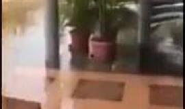 فيديو - لحظة ضرب زلزال قوته 8 درجات بمنطقة بابوا غينيا الجديدة صباح اليوم