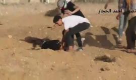 بدم بارد.. لحظة إصابة أحد الشبان برصاص الاحتلال شرق غزة أمس
تصوير: أحمد الحجار