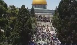 #شاهد .. من صلاة الجمعة الثالثة من شهر #رمضان المبارك في المسجد الأقصى المبارك . 

تصوير فادي عميرة