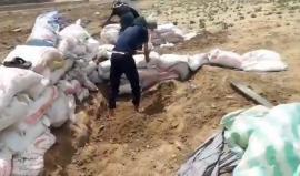 لليوم الثالث على التوالي.. يواصل شباب "#وحدة_السواتر" العمل شرق مخيم البريج على حدود وسط قطاع غزة لحماية متظاهري مسيرة العودة من قناصة الاحتلال

تصوير: حسام العايدي