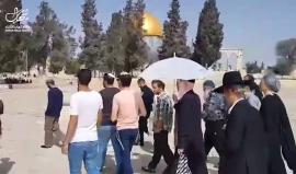 #فيديو مجموعات أخرى من المستوطنين تقتحم المسجد الأقصى المبارك بحماية قوات الاحتلال