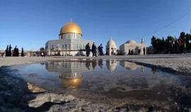 #شاهد باحات المسجد الأقصى المبارك.
تصوير: محمود معطان