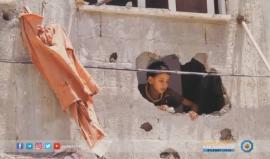 #غزة | "أطفالنا حلم حياة" معرض صور يعبر عن واقع أطفال القطاع
تقرير: صالح الناطور
