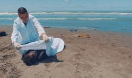 #شاهد .. #كليب أنا جرح - نايف الشرهان 
 Ana Jor7 Clip - Naif Alsharhan