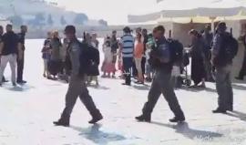 #شاهد .. نحو 90 مستوطن يهودي يقتحمون باحات المسجد الأقصى المبارك بحماية مشددة من قوات الاحتلال صباح اليوم .