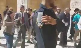 74 مستوطنًا اقتحموا المسجد الأقصى بحراسة شرطة الاحتلال منذ الصباح