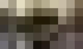 موظفو سفارة السلطة في بيروت يعتدون على صحفية أثناء فعالية لحركة فتح أمام سفارة السلطة في بيروت