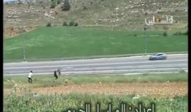 #شاهد 
هكذا تضامن شبان بلدة سنجل قضاء رام الله مع الأسرى المضربين عن الطعام في سجون الاحتلال
تصوير شامخ الجاغوب