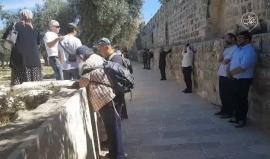 #شاهد نحو 104 متطرف يهودي يقتحمون المسجد الأقصى المبارك منذ صباح اليوم بحماية قوات الاحتلال.