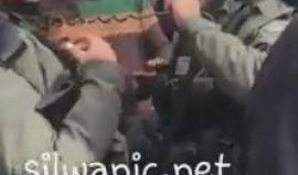 #شاهد | مواطنون يحبطون محاولة قوات الاحتلال اعتقال فتى في حي عين اللوزة ببلدة سلوان جنوب المسجد الأقصى.