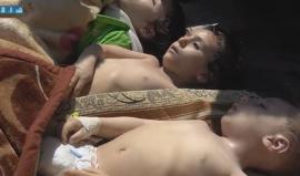 ناموا إلى الأبد بدون ضجيج وبلا دماء ...