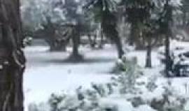 #شاهد 
إيطاليا : الثلوج في مدينة #نابولي بعد غياب 62 عاماً .