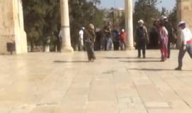 #مباشر جولة في المسجد الأقصى المبارك حيث يتعرض لاقتحام من قبل المستوطنين