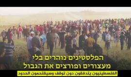 #شاهد
نشطاء يتناولون رسالة باللغة العبرية إلى سكان مستوطنات غلاف غزة.