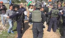 #شاهد| إصابات بالاختناق بعد قمع الاحتلال المسيرة الأسبوعية المناهضة للجدار في بلدة نعلين غرب رام الله. 

تصوير: حسن دبوس