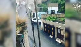 #فيديو تساقط غزير للأمطار جنوب الضفة الغربية