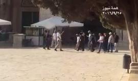 مستوطنون يقتحمون المسجد الاقصى بحراسة شرطة الاحتلال