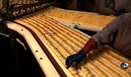 #شاهد مراحل صناعة شيبس رقائق البطاطس !