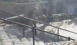 جنود الاحتلال يفتشون طلبة المدارس بمنطقة باب العامود في القدس المحتلة