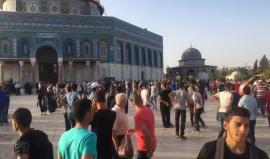 #مباشر #عاجل : قوات الاحتلال تقتحم المسجد الاقصى مجدداً وتعتدي على المصليين