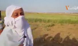 #شاهد ماذا قالت هذه المسنة الفلسطينية خلال مشاركتها في #مسيرة_العودة_الكبرى شرق خانيونس

#أنا_راجع