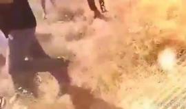 #شاهد الشهيد ابراهيم ابو ثريا يرفع العلم الفلسطيني أثناء المواجهات مع الاحتلال، والذي ارتقى مساء اليوم برصاص الاحتلال.