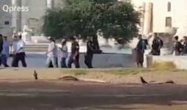 #شاهد مستوطنون يقتحمون الأقصى صباحًا بحماية أمينة