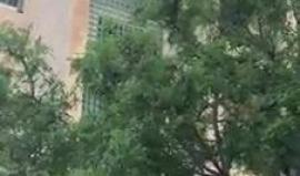 #شاهد|  مستوطنة صهيونية ترش الماء على المتظاهرين المحتجين على نقل السفارة الأمريكية إلى #القدس المحتلة.