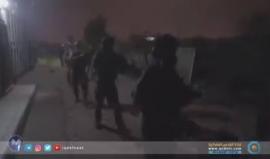 دون رادع.. مستوطنون يستبيحون #الخليل 
تقرير قناة القدس