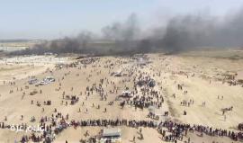 #شاهد .. الجمعة الثالثة من #مسيرة_العودة_الكبرى شرق غزة "ملكة".

#حرق_العلم