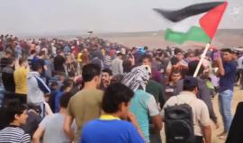 ع الميدان يا غزاوي 
أداء: عمر العبدالات