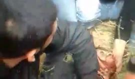 #شاهد| لحظة استشهاد الشاب أحمد عرفة (25 عاما) برصاص قوات الاحتلال شرق مخيم البريج وسط قطاع #غزة 
تصوير أحمد المقادمة
#مسيرة_العودة_الكبرى