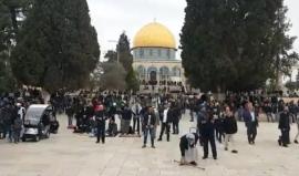 #شاهد #مباشر خطبة وصلاة الجمعة من العاصمة الفلسطينية المحتلة - المسجد الأقصى المبارك
