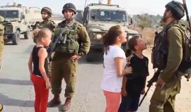 #شاهد .. قصيدة #في_ساحة_القدس | مجاهد رشيد 
 In the courts of Jeruslem