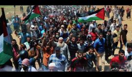 #شاهد 
#ثوار_للقدس_والأقصى