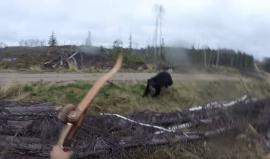 #شاهد صياد كندي ودب أسود يلتقيان وجها لوجه .. ماذا حدث