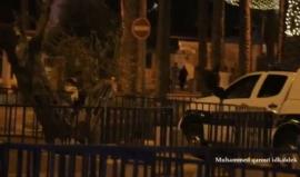 #فيديو لحظة اعتقال قوات الاحتلال لشبان قرب باب العامود في مدينة القدس المحتلة
تصوير: محمد قاروط ادكيدك
#عملية_القدس