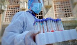 photo_٢٠٢٠-٠٩-٢٦_١٣-٥٠-٥٣