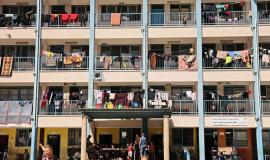 photo_2021-05-19_12-26-29