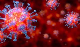 b29d8c21-3b69-48cb-888e-1b89866aaa30