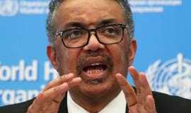 1044867595_0_298_2827_1827_1000x541_80_0_0_fccc5f075c2b93374385b608c1689e2d