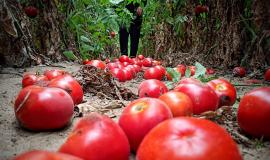 204842685_4327465987286284_7010403485707814357_n