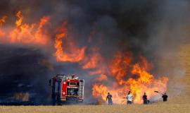 74f70cbdaf0949c2eef503d5dcefa62a